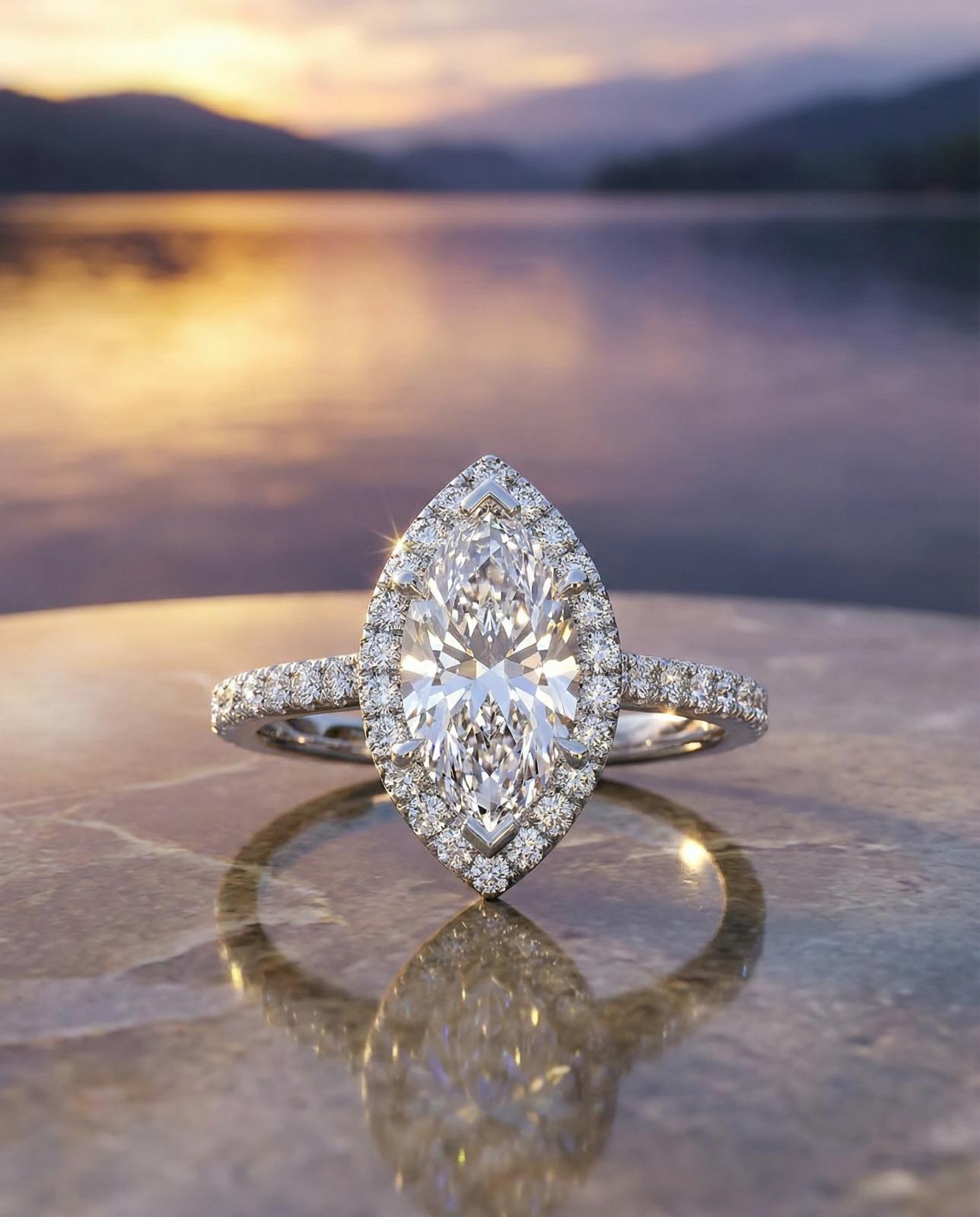 The Aurora Rose - Soft romance, bold brilliance